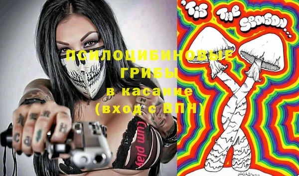 стаф Алзамай