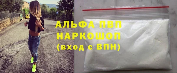стаф Алзамай