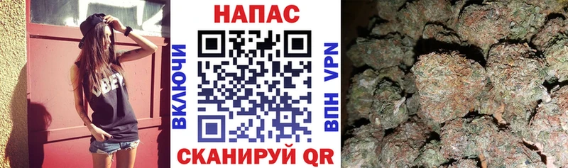 где купить наркоту  Изобильный  Шишки марихуана план 